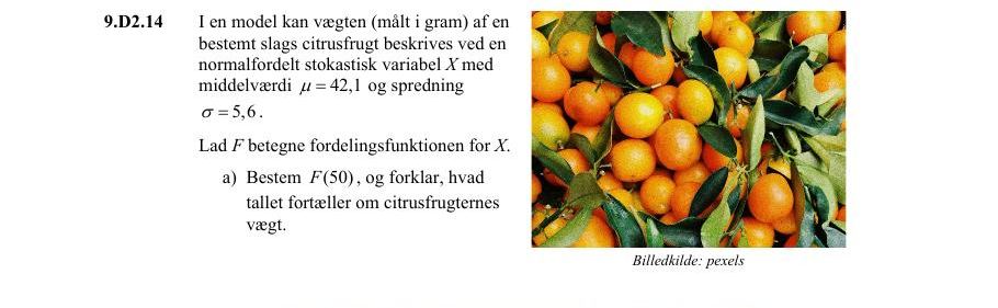 Vejledende enkeltopgave 9.D2.14