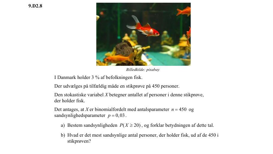 Vejledende enkeltopgave 9.D2.8